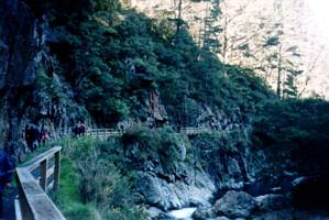 Image of karangahake03enteringgorge.jpg