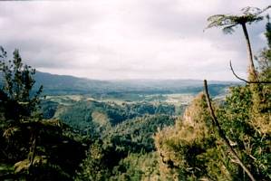 Image of karangahake03level7trackview.jpg