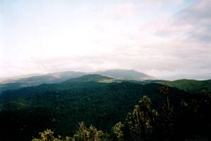 Image of karangahake03summitviewmttearoha.jpg