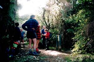 Image of karangahake03topofdubbotrack.jpg