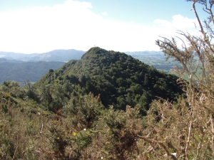 Image of karangahakeaug14 (10).jpg