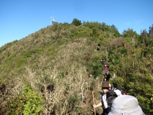 Image of karangahakeaug14 (11).jpg