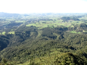 Image of karangahakeaug14 (12).jpg