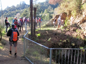 Image of karangahakeaug14 (19).jpg