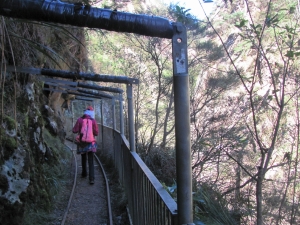 Image of karangahakeaug14 (21).jpg