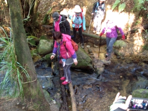 Image of karangahakeaug14 (4).jpg