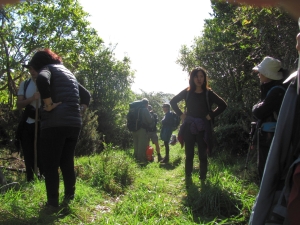 Image of karangahakeaug14 (6).jpg