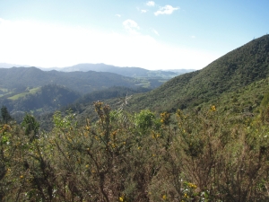 Image of karangahakeaug14 (7).jpg