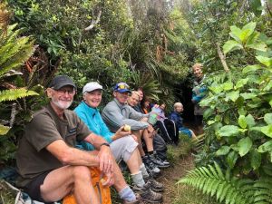 Image of karangahakemar23c.jpg