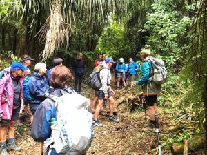 Image of karangahakemar23d.jpg