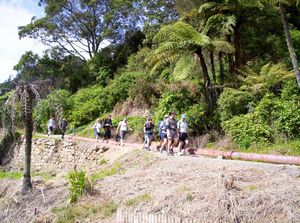 Image of karangahakenov06bdtrack.jpg