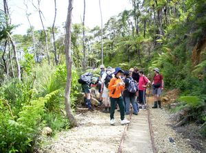 Image of karangahakenov06chtramline.jpg