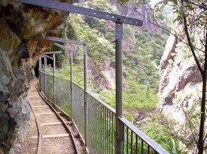 Image of karangahakenov06cktramline.jpg