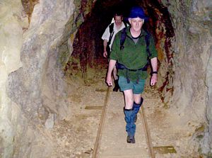 Image of karangahakenov06cntunnel.jpg