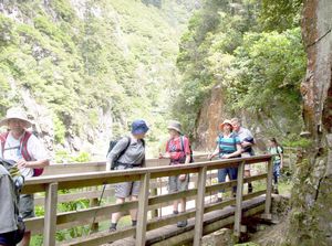 Image of karangahakenov06edtrack.jpg