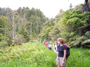 Image of karangahakenov06eftrack.jpg