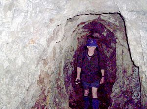 Image of karangahakenov06eotunnel.jpg