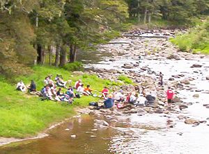 Image of karangahakenov06fhlunch.jpg