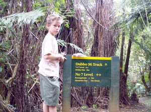 Image of karangahakenov06gatopofdubbotrack.jpg