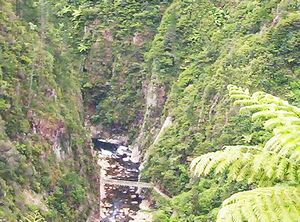 Image of karangahakenov06gmgorgecloseup.jpg