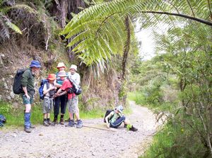 Image of karangahakenov06gtbreak.jpg