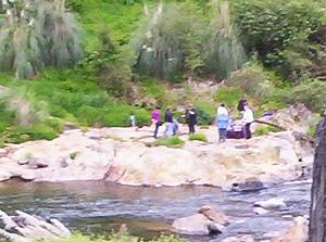 Image of karangahakenov06gwcloseupofpicnic.jpg