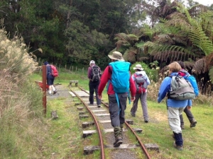 Image of karangahakenov15b.jpg