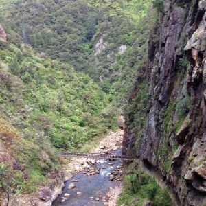 Image of karangahakenov15c.jpg