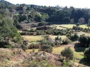 Image of karangahape10erview.jpg