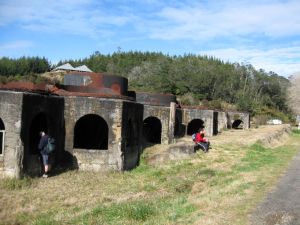 Image of karangahape10fgview.jpg
