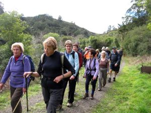 Image of karangahape10ijtracl.jpg