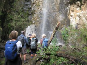 Image of karangahape10jcfalls.jpg