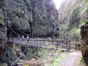 Image of karangahape10msbridgulum.jpg