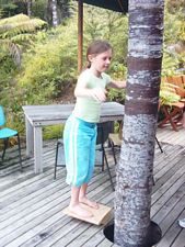 Image of kareakaredec2003annabalancing.jpg