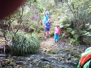 Image of kareakaredec2003companystream.jpg