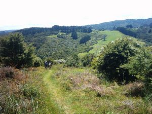 Image of kareakaredec2003endofzionridgetrack.jpg