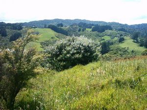 Image of kareakaredec2003karekarefarmland.jpg