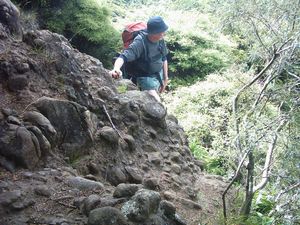 Image of kareakaredec2003muirtrack.jpg