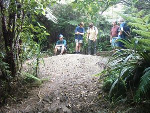 Image of kareakaredec2003muirtrackjunction.jpg