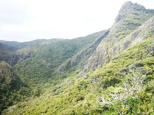 Image of kareakaredec2003pararahavalleyfrommuirtrack.jpg