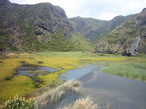 Image of kareakaredec2003pararahavalleyfromsanddune.jpg