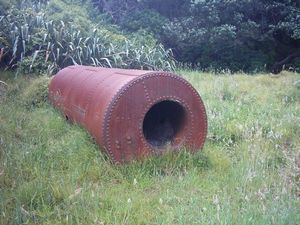 Image of kareakaredec2003remainsofloco.jpg