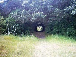 Image of kareakaredec2003tunnel.jpg