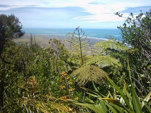 Image of kareakaredec2003viewsouthfromzionhilltrack.jpg