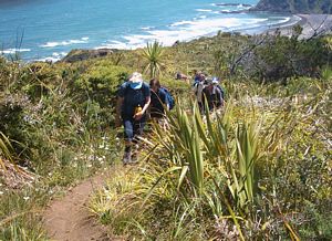 Image of kareakaredec2003zionhilltrack.jpg