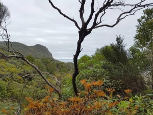 Image of karekarejun16a.jpg