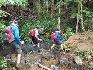 Image of karekarejun16h.jpg