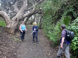 Image of karekarejun16o.jpg