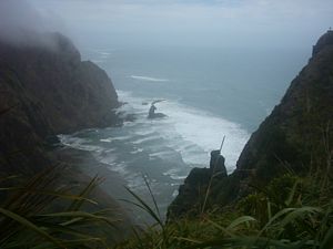 Image of karekaresept2003mercerbay.jpg