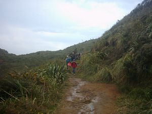 Image of karekaresept2003mercerbaylooptrack3.jpg